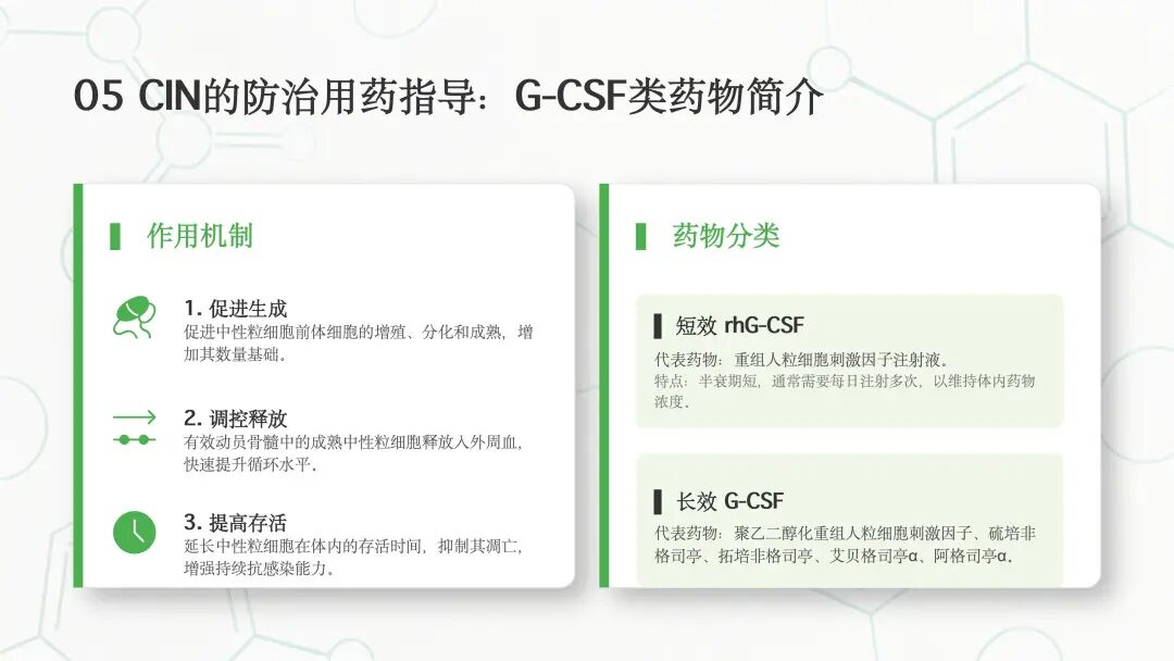 肿瘤化疗导致的中性粒细胞减少诊治中国专家共识（2026版）解读_16.jpg