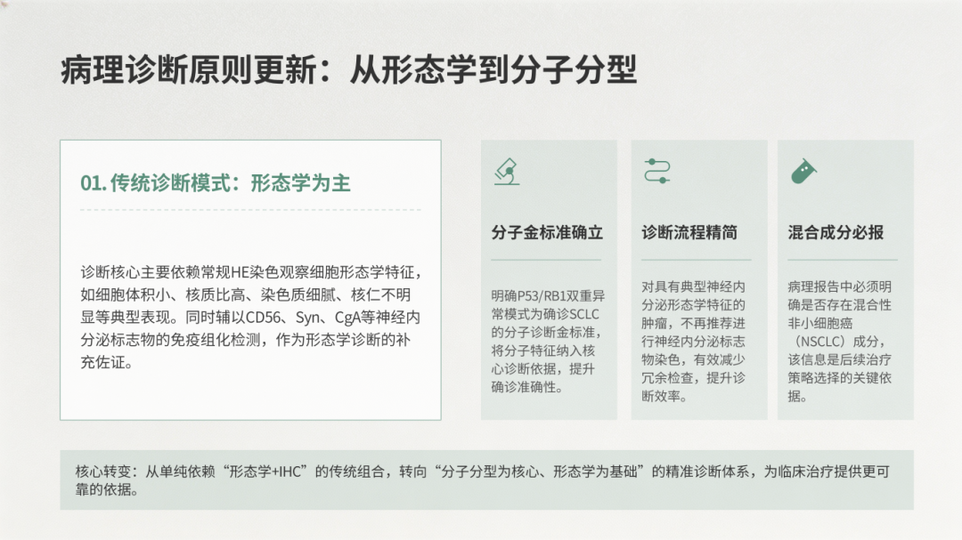 2026 CSCO小细胞肺癌诊疗指南更新解读_06.png